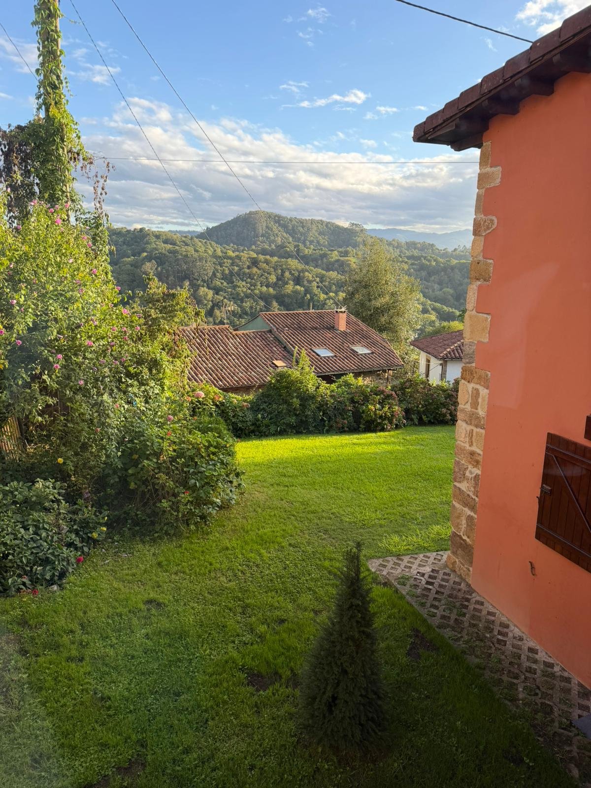 Casa y jardín